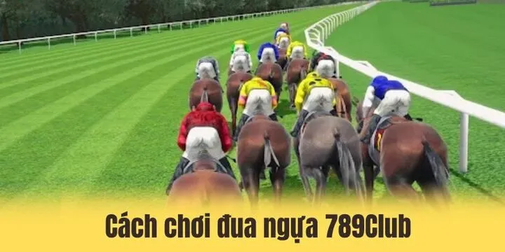 Chi tiết cách chơi đua ngựa 789Club cho người mới