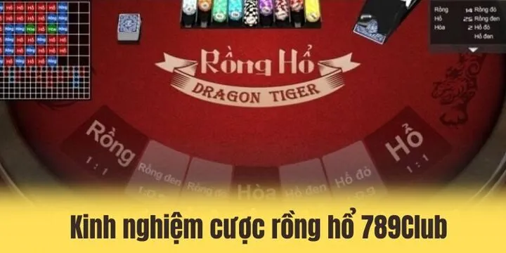 Chia nhỏ tiền vốn để đặt cược trò chơi rồng hổ 789club